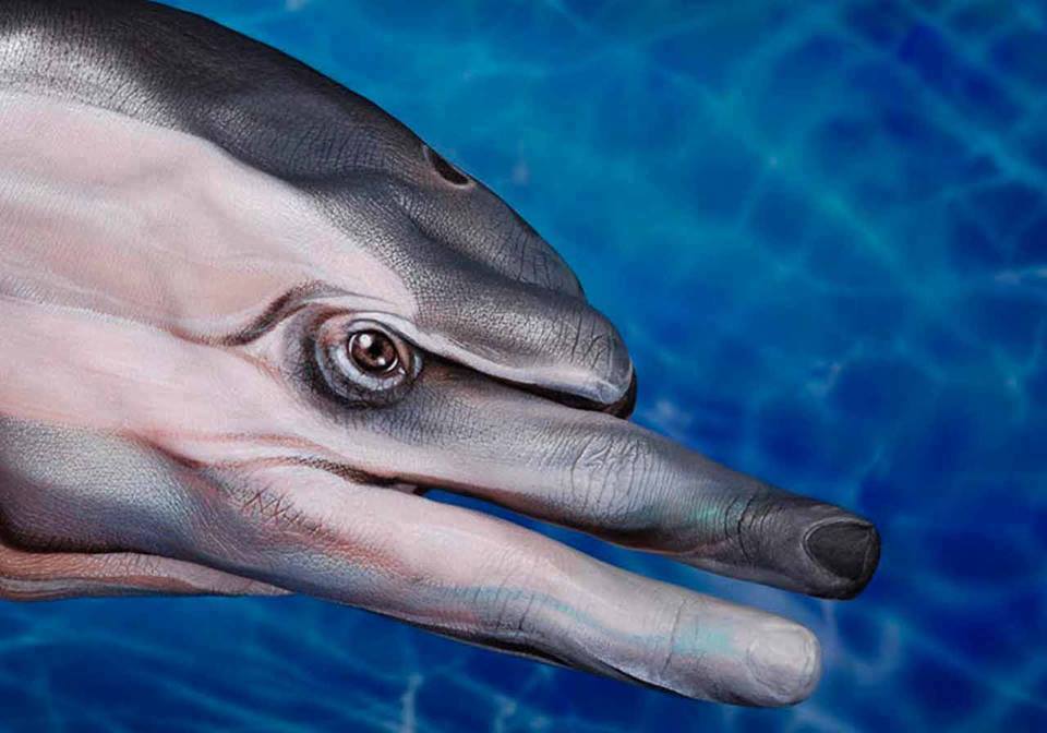 短信轰炸器 电脑版_海豚浏览器电脑版_360浏览器官网电脑版