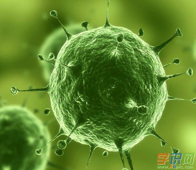 怎样用u盘装xp系统_xp系统用ie哪个版本好_xp系统用什么杀毒软件最好