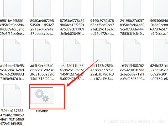 win10锁屏壁纸 树懒