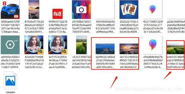 win10锁屏壁纸 树懒