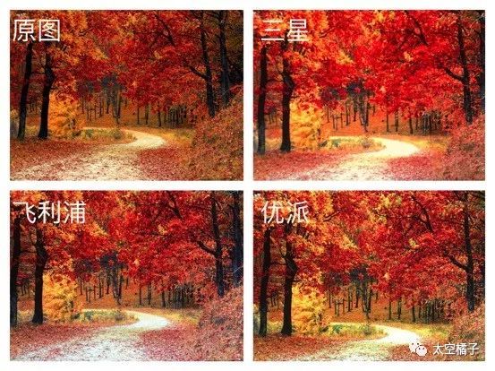 飞利浦215寸高清显示器报价