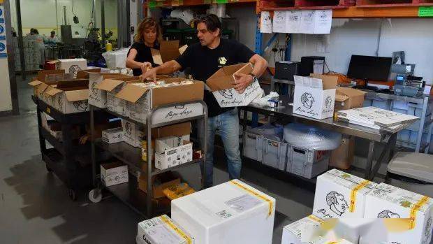 显示器退机折旧费_京都府驾校费可以退吗_数字电视费可以退吗