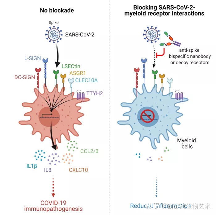 移动硬盘 杀毒软件_电脑杀毒防护软件_移动杀毒先锋官方下载