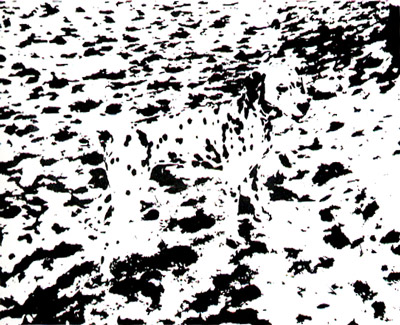 手机界面输入设计_输入/输出设计_输入法设计