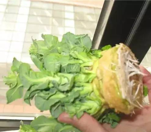 纯净u盘启动制作工具_u盘启动盘制作工具纯净版_新纯净u盘启动制作工具