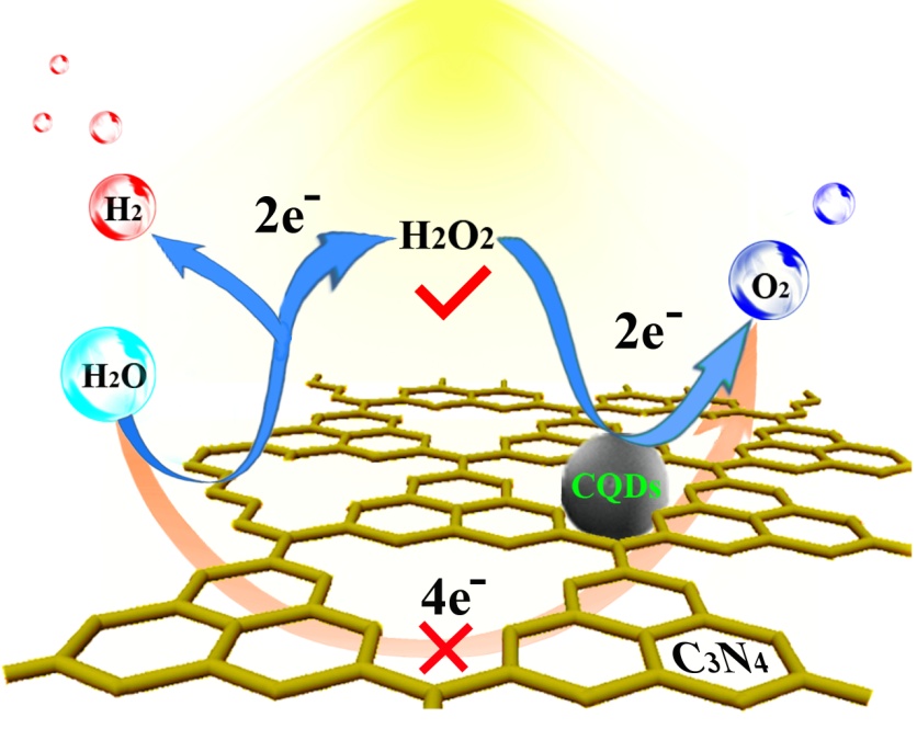 选择性催化还原与非选择性催化还原成本_划痕修复剂剂_显卡催化剂下载