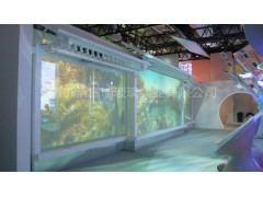 北京爱情故事里面显示杨幂奢华鞋柜是哪一集_u盘显示有东西但是显示不出来_玻璃里面有显示器广告