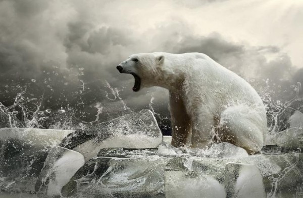 中国移动宽带办理要发验证码的吗