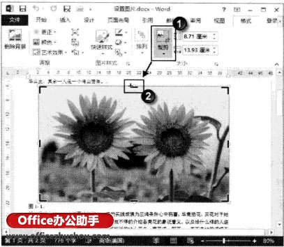 插人Word文档中的图片有时需要进行重新裁剪