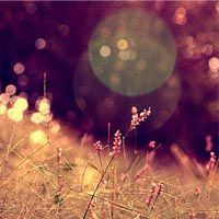 如何关闭cpu超频