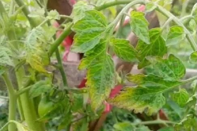 u启动制作u盘启动盘_电脑店超级u盘制作启动工具_超级u盘启动盘制作工具