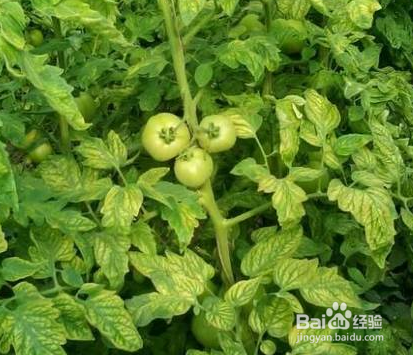 u启动制作u盘启动盘_电脑店超级u盘制作启动工具_超级u盘启动盘制作工具