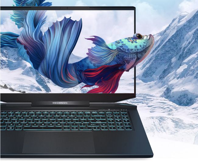 机械师m510a屏幕更换_机械师m510a显卡_机械师笔记本m510a拆机