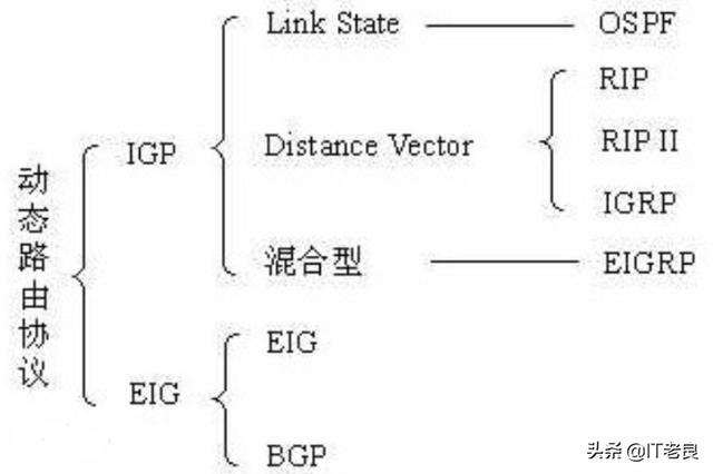路由器工作是根据