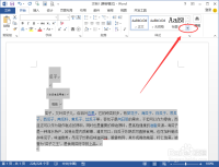 word2013的邮件合并中的图片