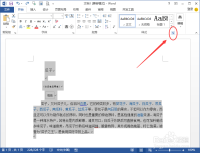 word2013的邮件合并中的图片