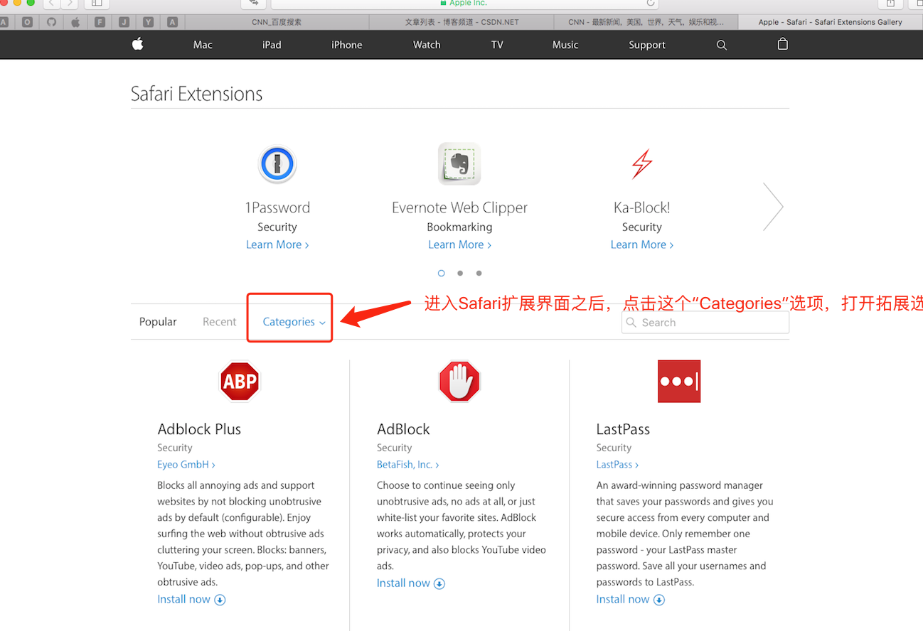 苹果浏览器网页英译汉