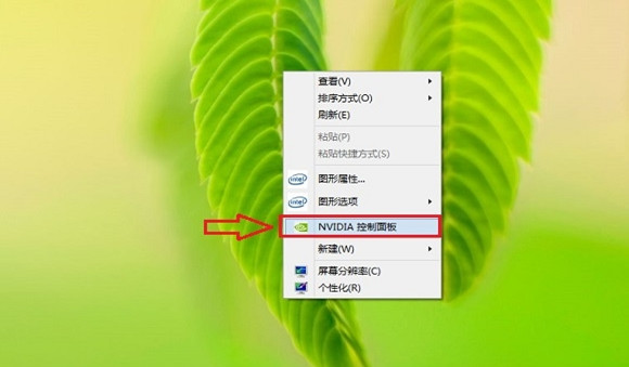 NVIDIA控制面板截图
