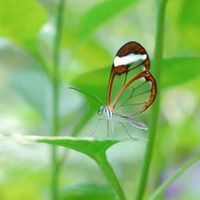 显示器可以回收吗