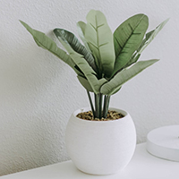 led 显示器 频闪