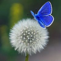 移动硬盘分区无法识别