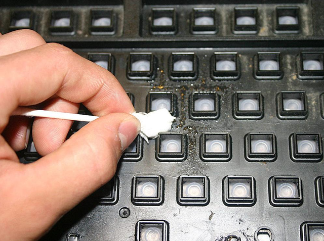 如何清洗笔记本键盘