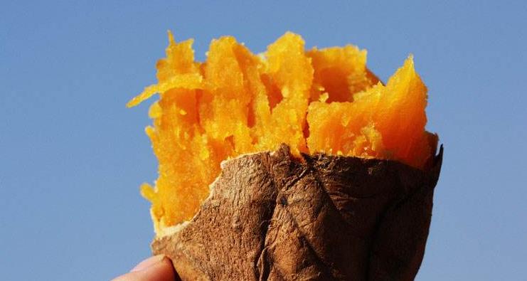 u盘装系统 u盘启动 u_大番薯u盘启动盘_华硕u盘启动找不到u盘