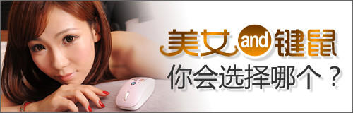 文章前后需要加的内容 