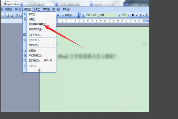 word文档中,怎么把黑点儿变小