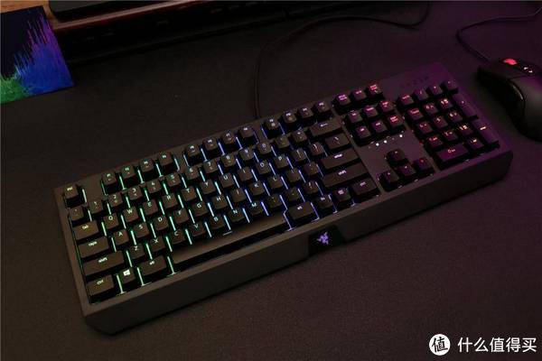 雷蛇黑寡妇键盘功能