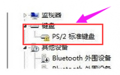 win7键盘的驱动程序