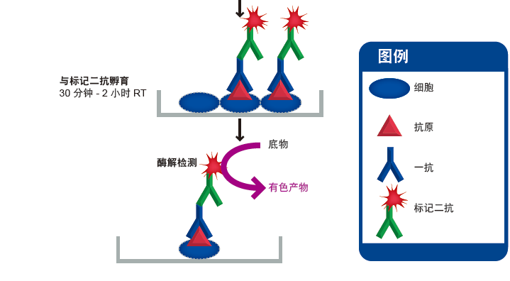 u盘病毒防护盒 下载_u盘病毒防护盒 下载_u盘病毒防护盒
