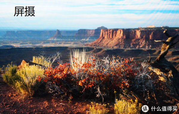 不闪屏，HDR，带鱼屏全都有，LG 29WK600宽屏显示器测评