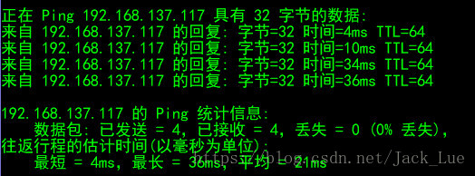 Ping命令运行结果