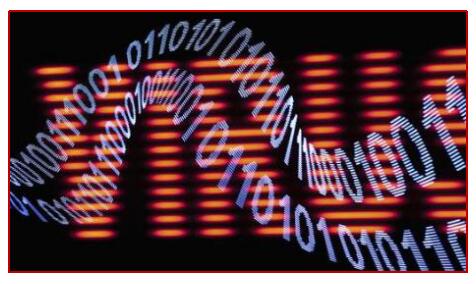 计算机病毒的主要危害