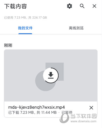 Chrome下载管理