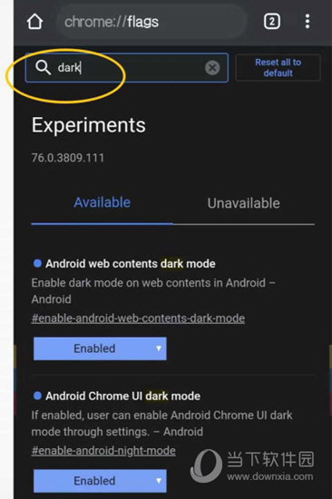 chrome://flage设置