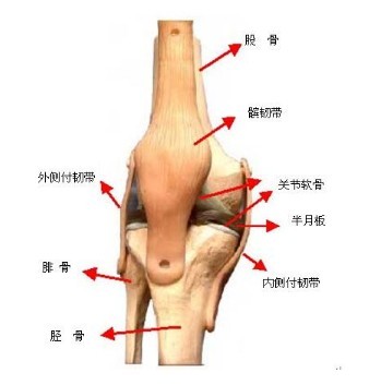 握鼠标三种姿势图解_鼠标122握法_122地宫杀法