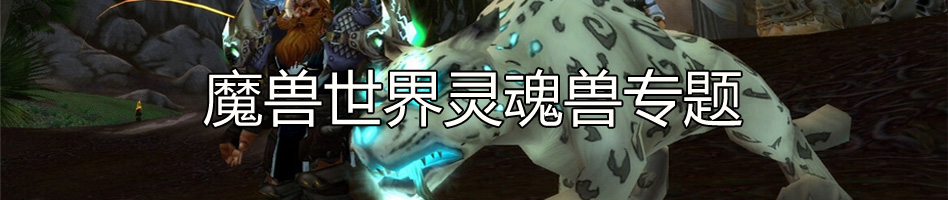 魔兽世界灵魂兽专题