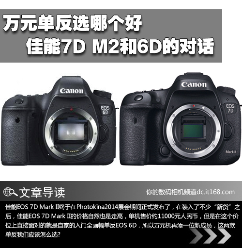 佳能7D2和6D如何选 三联