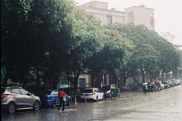 台风“狮子山”北上 东北将有狂风暴雨