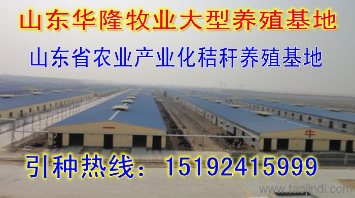 炉霍贴吧?炉霍事件?甘孜人事考试网?炉霍养牛贴吧→
