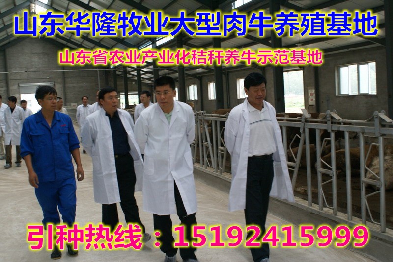 炉霍贴吧?炉霍事件?甘孜人事考试网?炉霍养牛贴吧→