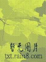 海王祭下载?海王祭 txt下载?恶魔法则txt下载?雨枫TXT电子书