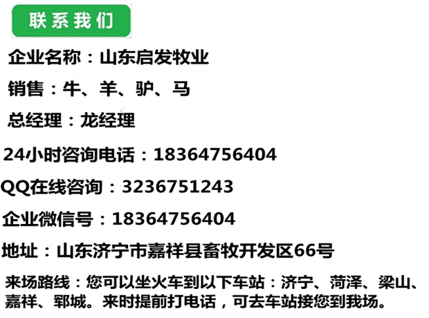 迅雷搜索器?迅雷?幼合集磁力驴