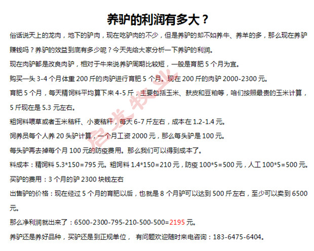 迅雷搜索器?迅雷?幼合集磁力驴