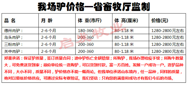 迅雷搜索器?迅雷?幼合集磁力驴