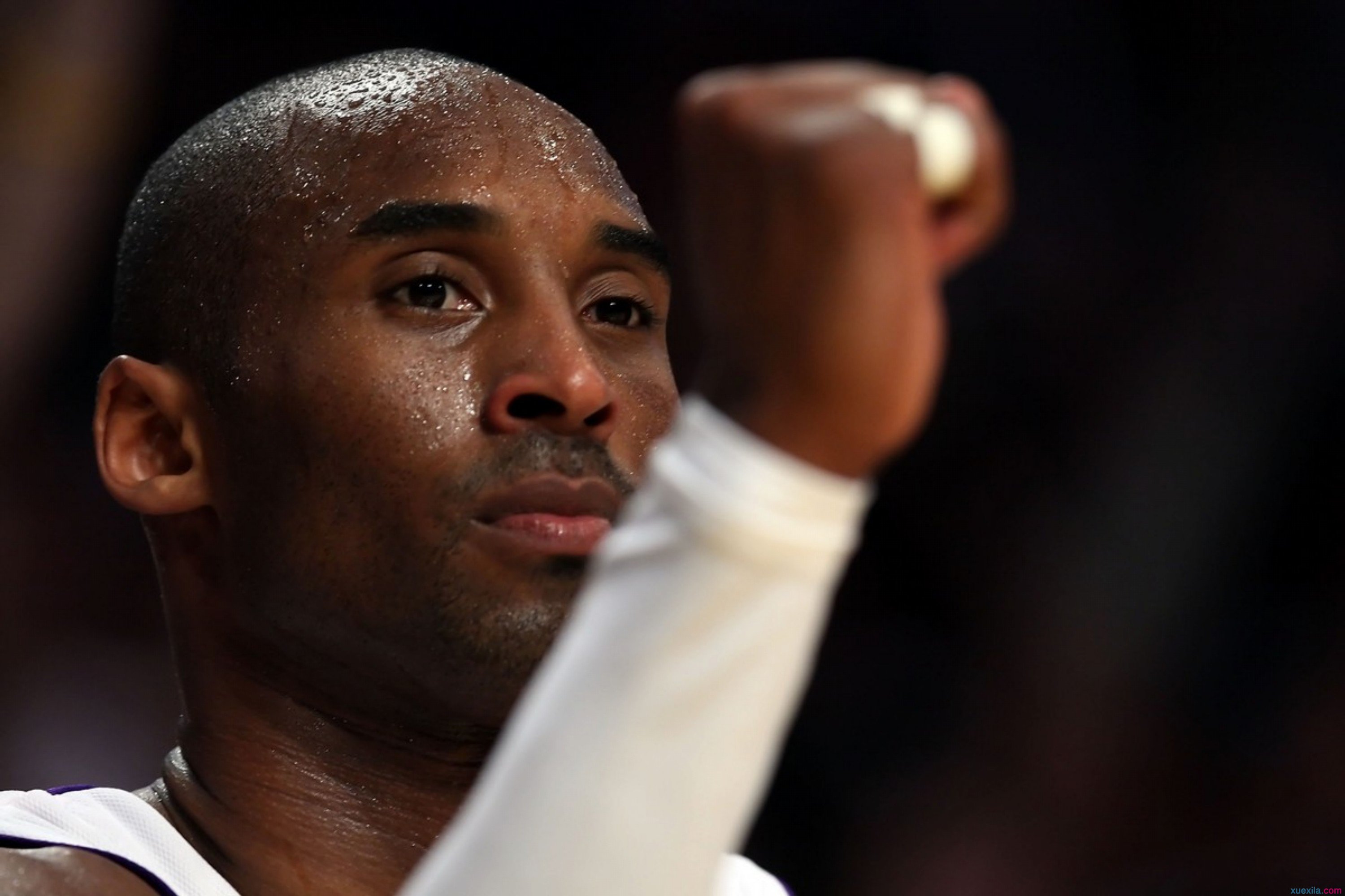 科比壁纸?科比头像?nba壁纸?科比的壁纸大全 科比高清励志壁纸