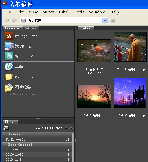 为什么ps用不了_adobe bridge cs3_windows10加载标志