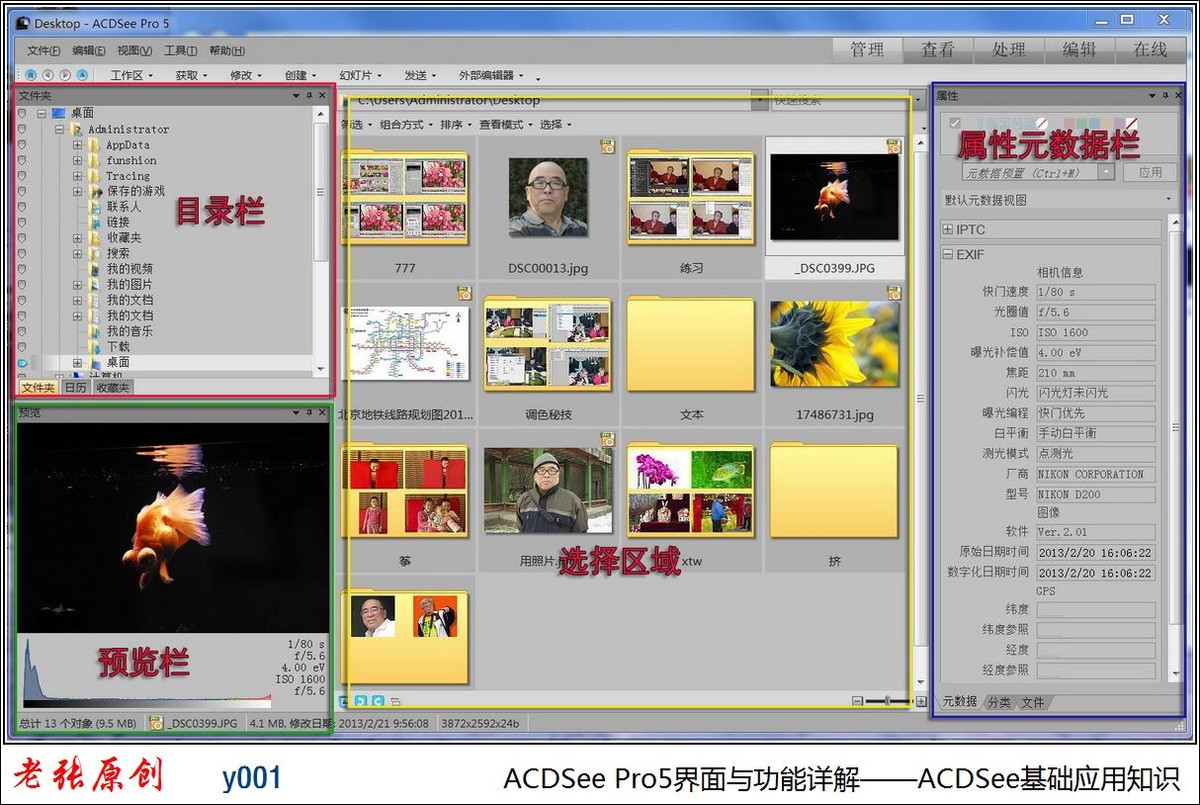 acdsee pro 10破解版_acdsee pro8怎么安装_acdsee pro 2.5